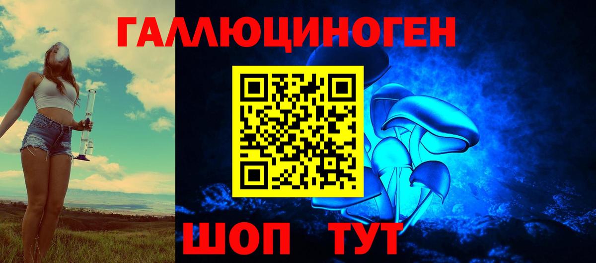 Псилоцибиновые грибы прущие грибы Томск