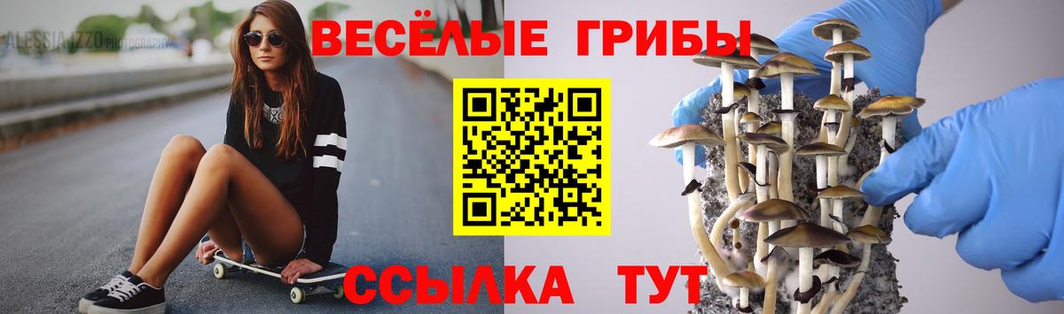 Галлюциногенные грибы Magic Shrooms  Псилоцибиновые грибы мухоморы  Вход с VPN  Томск 